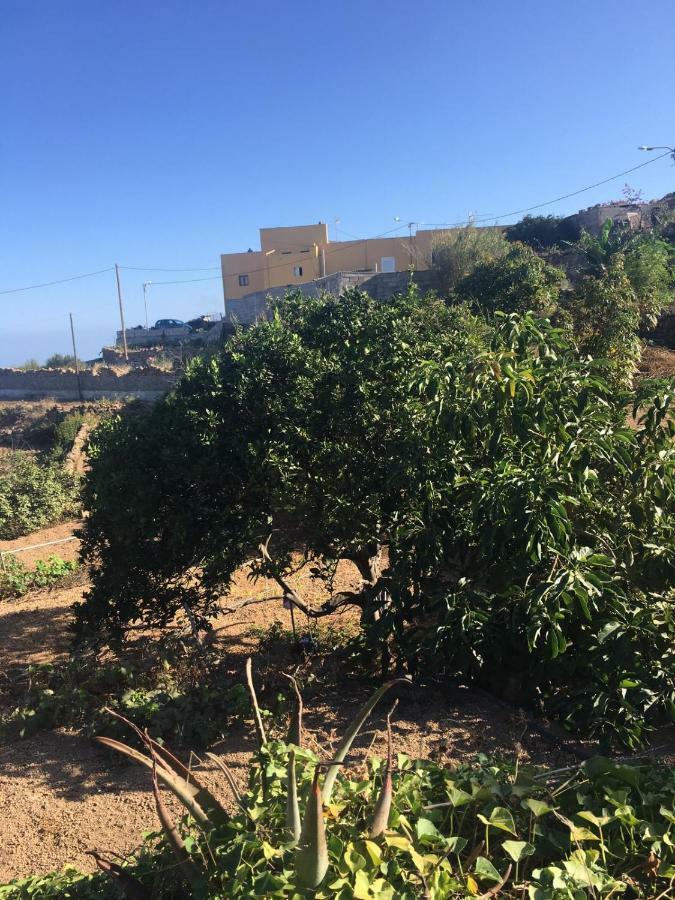 Fasnia Green Village. Tony Frias. المظهر الخارجي الصورة
